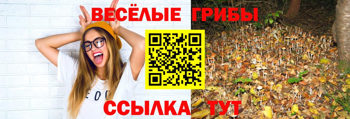 Галлюциногенные грибы ЛСД Долгопрудный