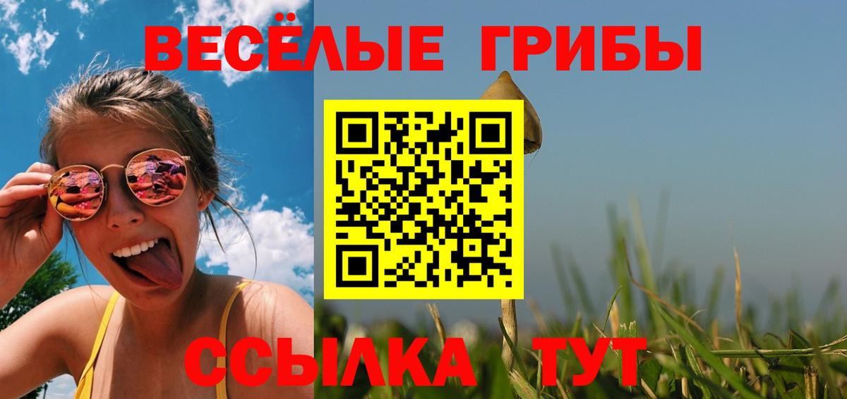 Псилоцибиновые грибы Psilocybine cubensis  Вход с VPN  дарнет шоп  Псилоцибиновые грибы мухоморы  Долгопрудный 